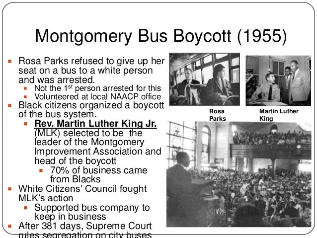 Cause and effect essay on civil rights movement civil rights movement essay outline
